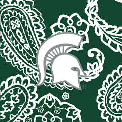 Collegiate Plush XL Throw Blanket
