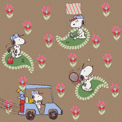 Peanuts Large Pouch